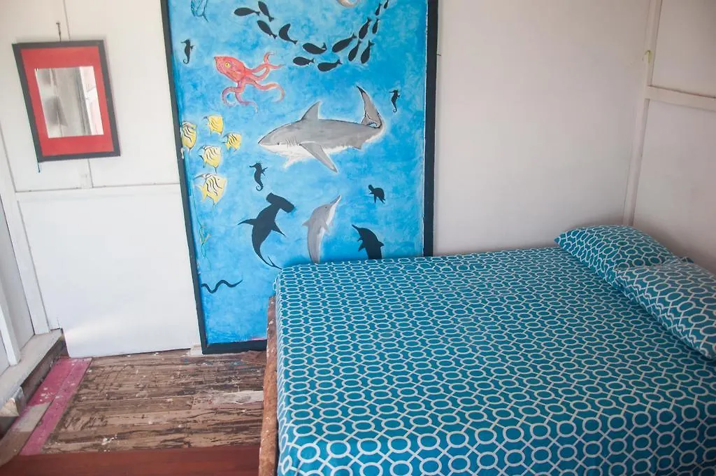Hostal Acapulco Cano de Loro 2*,