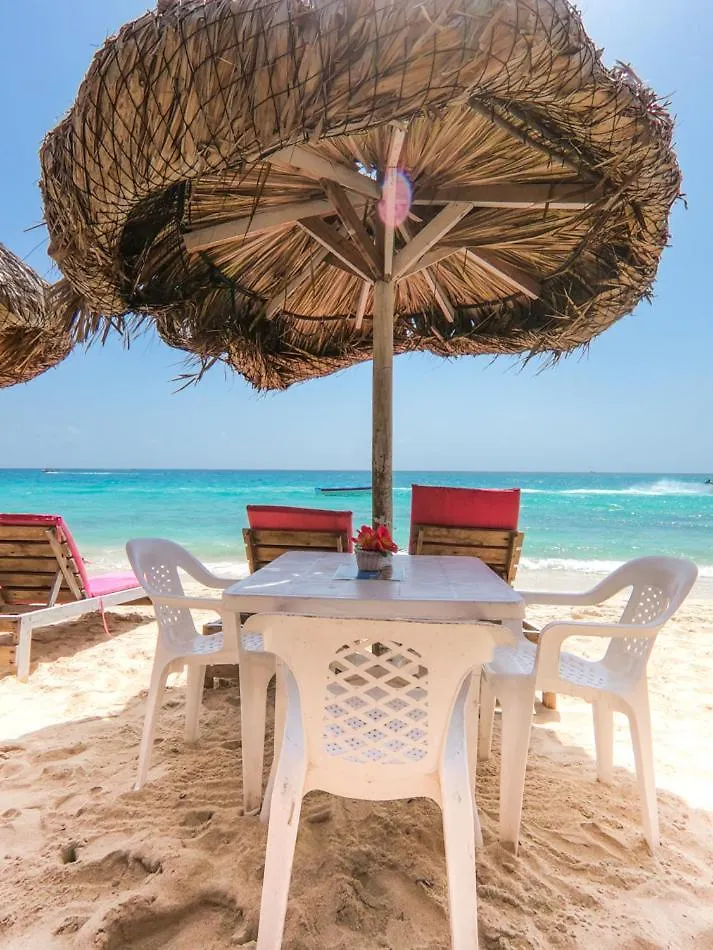 Hostal Acapulco Cano de Loro 게스트하우스