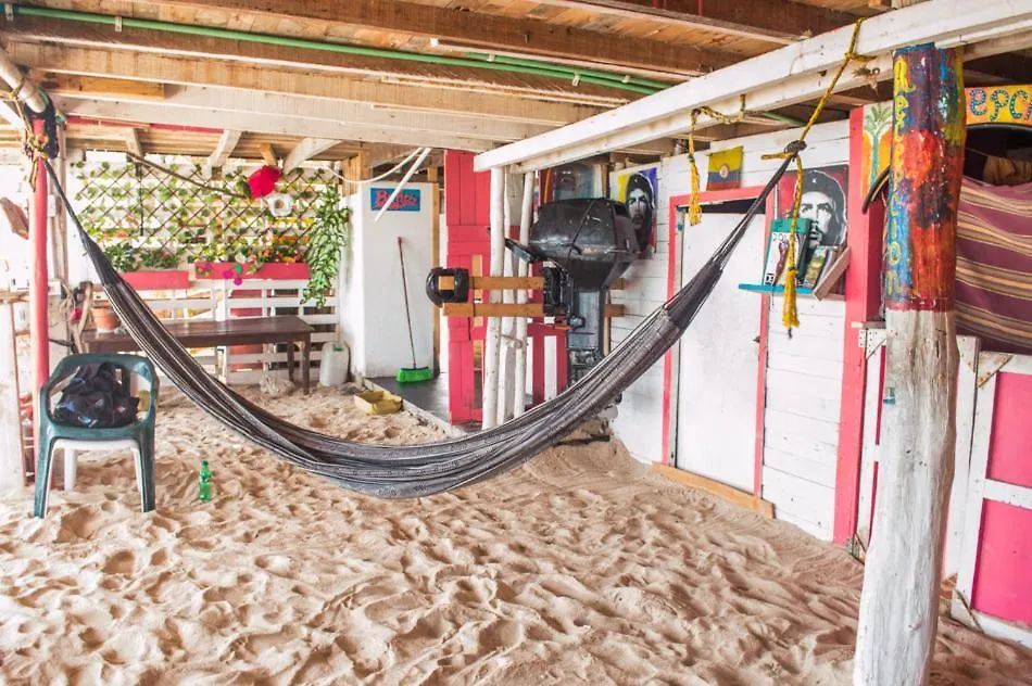 Hostal Acapulco Cano de Loro Guest house