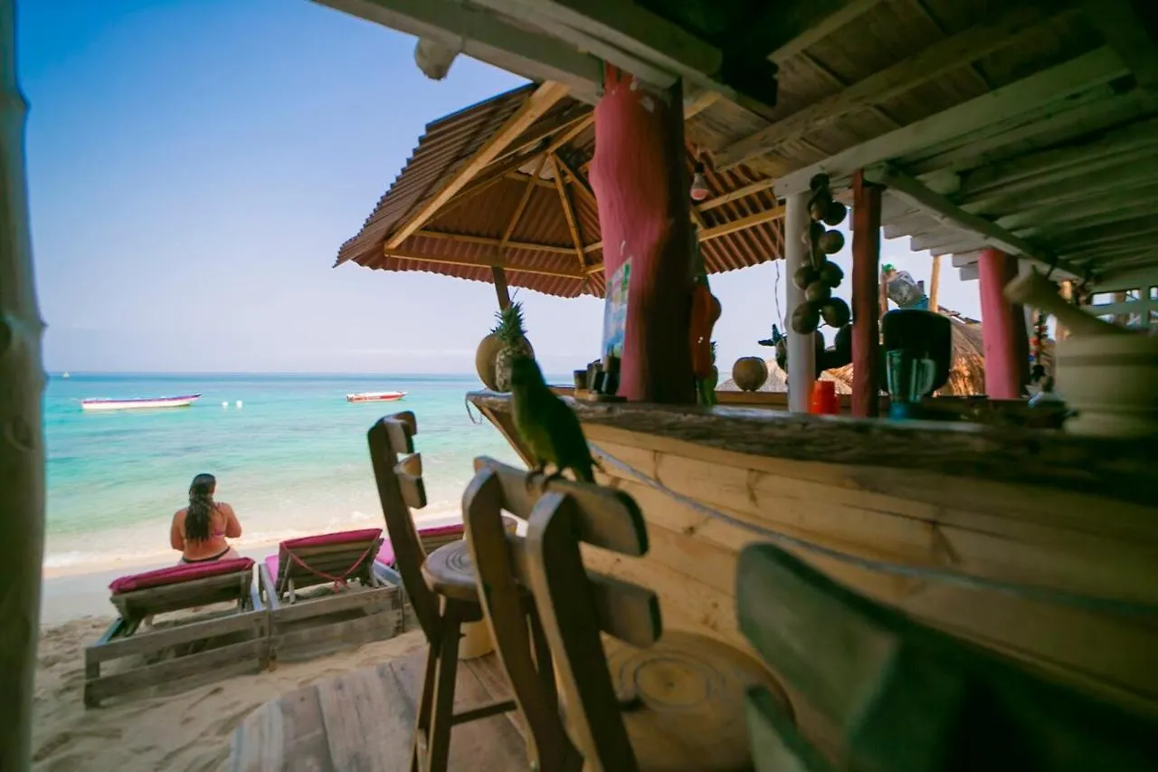 Hostal Acapulco Cano de Loro Guest house